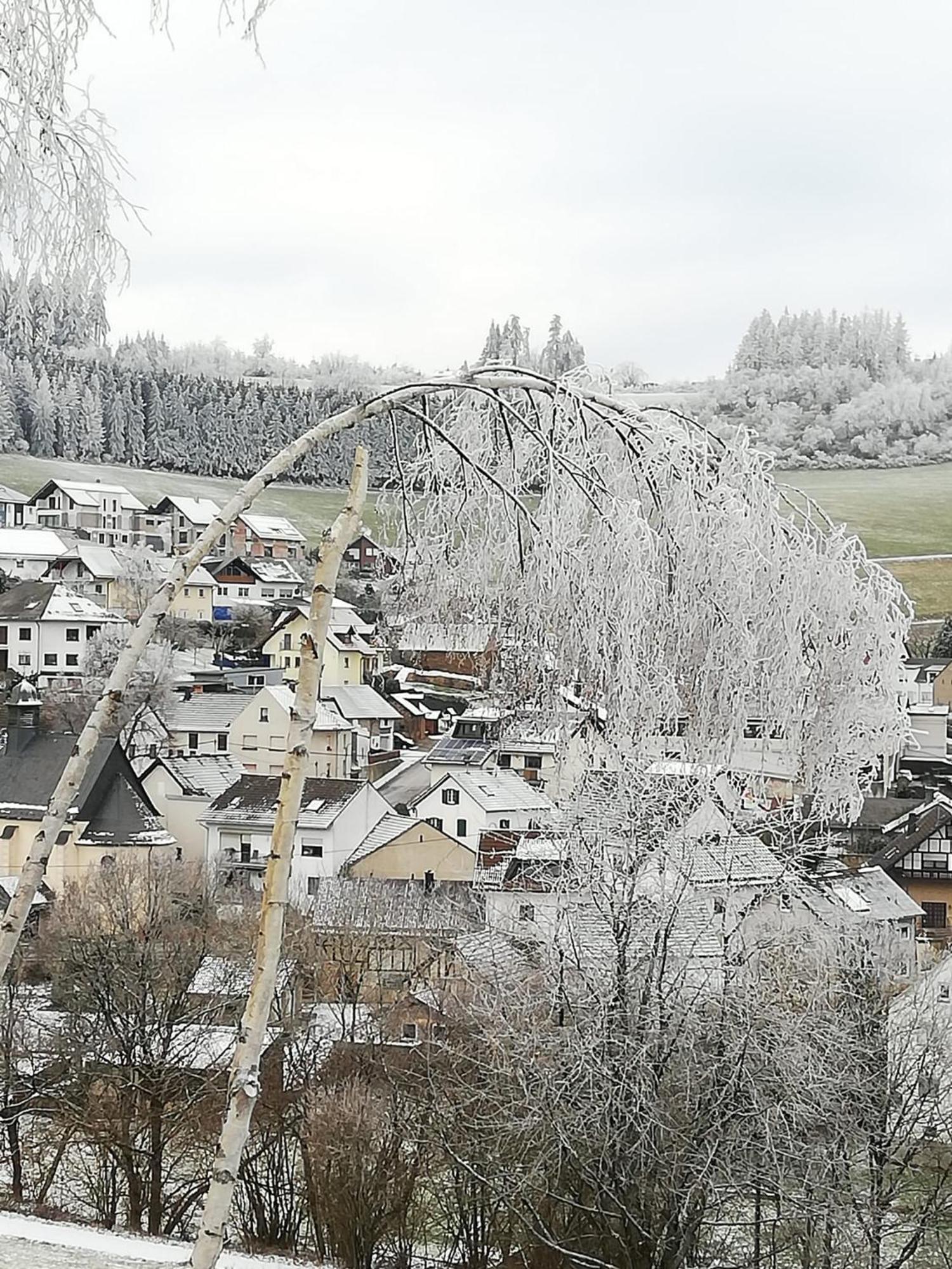 Am Lindenbaum, Ferienwohnung In Siebenbach Am Nuerburgring Dış mekan fotoğraf