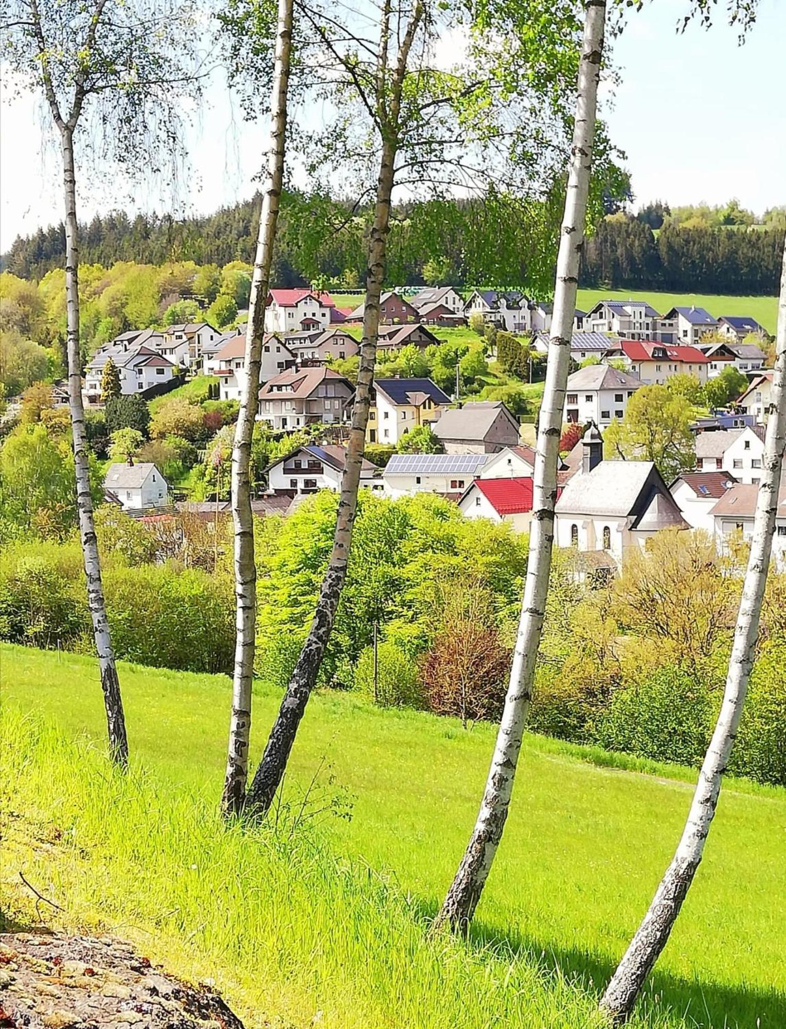 Am Lindenbaum, Ferienwohnung In Siebenbach Am Nuerburgring Dış mekan fotoğraf