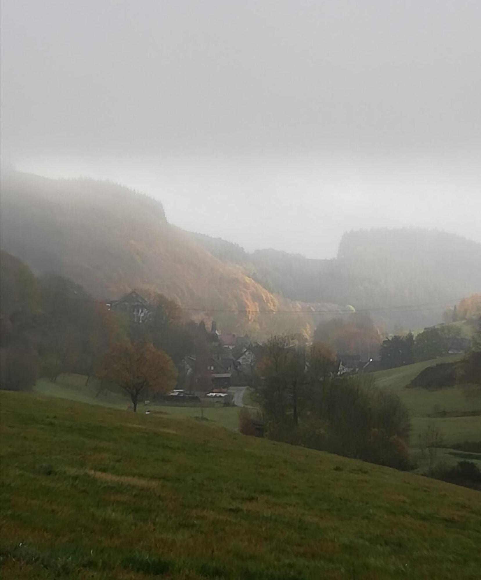 Am Lindenbaum, Ferienwohnung In Siebenbach Am Nuerburgring Dış mekan fotoğraf