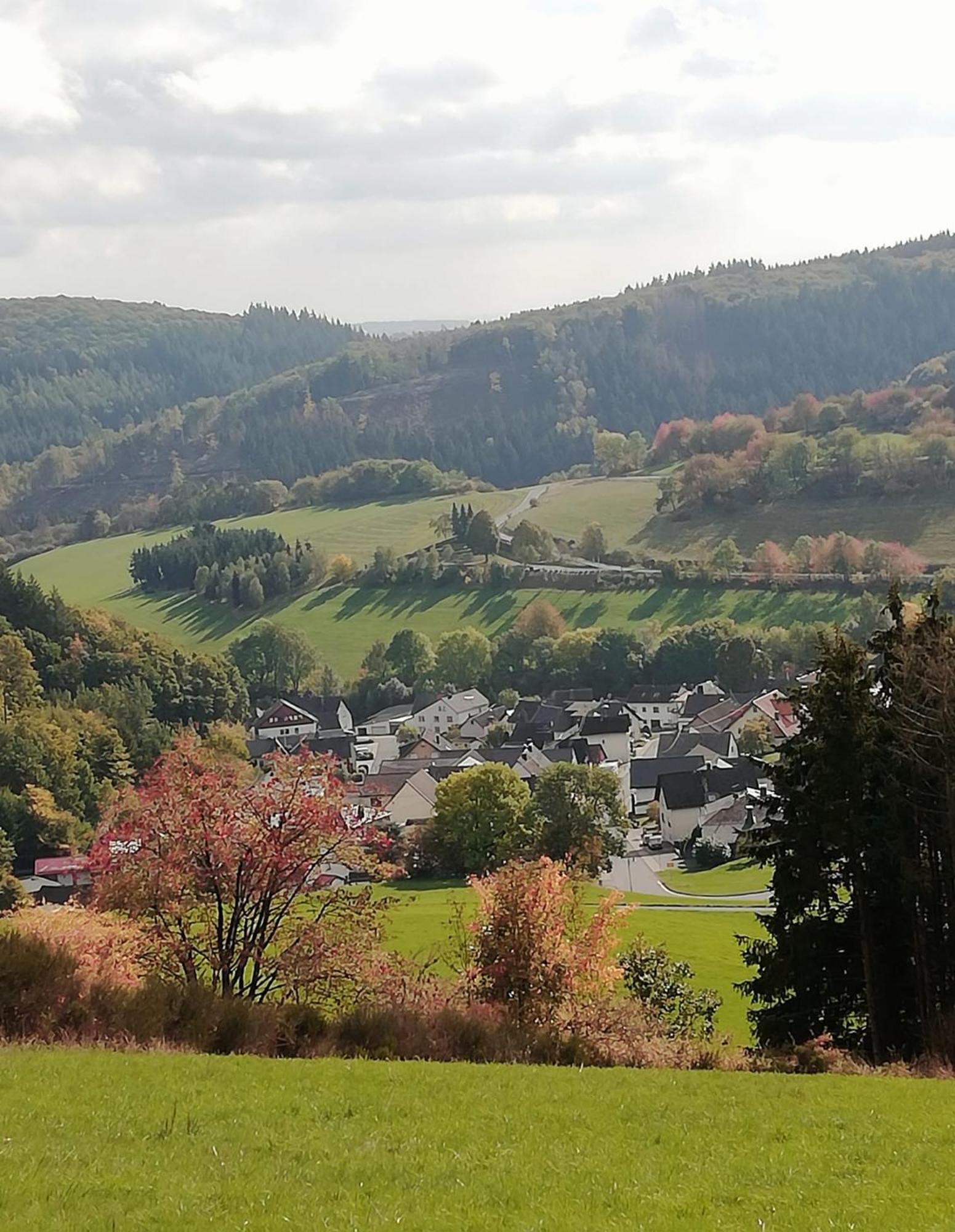 Am Lindenbaum, Ferienwohnung In Siebenbach Am Nuerburgring Dış mekan fotoğraf